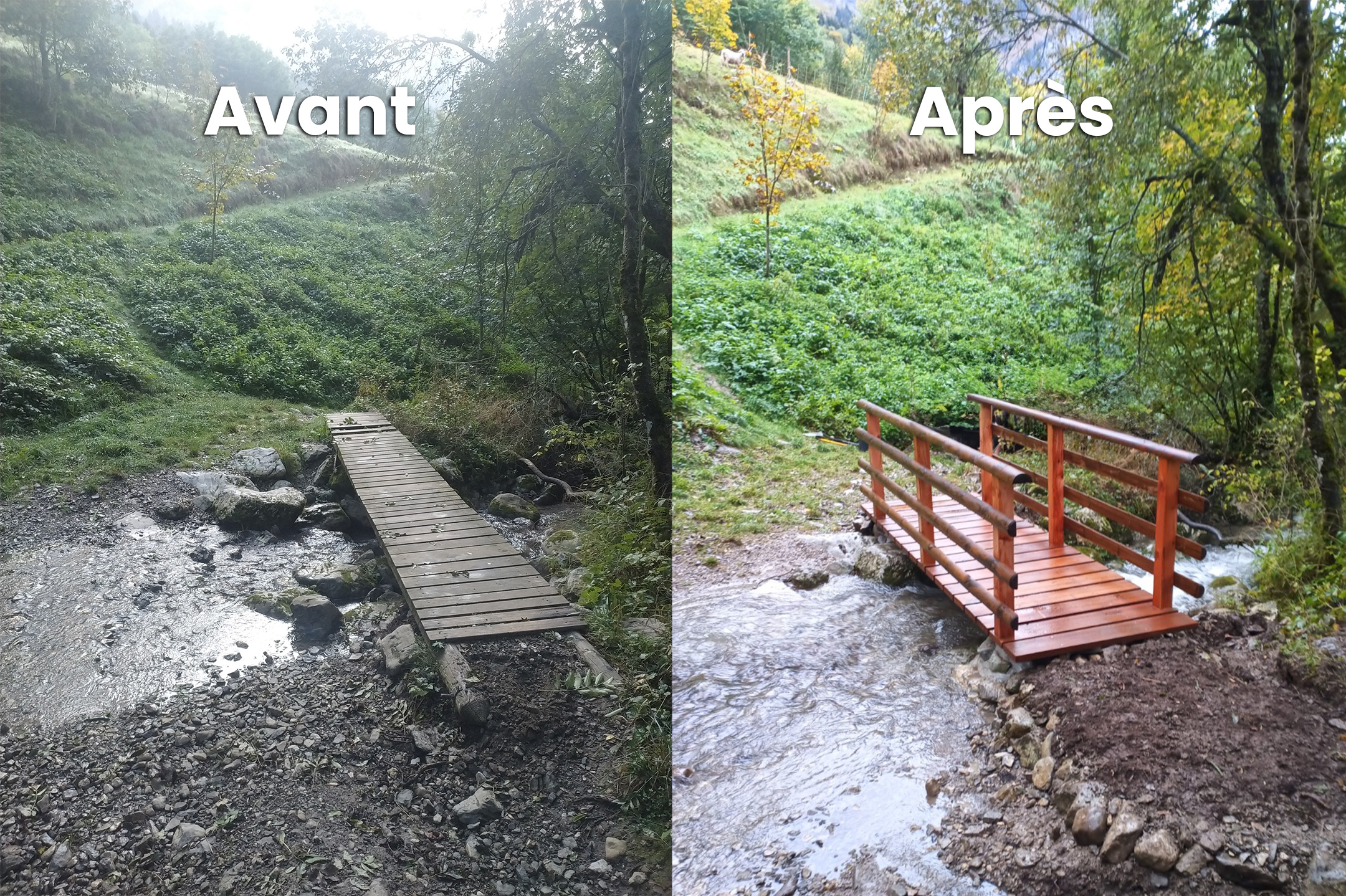 Changement passerelle piéton - Haute-Savoie